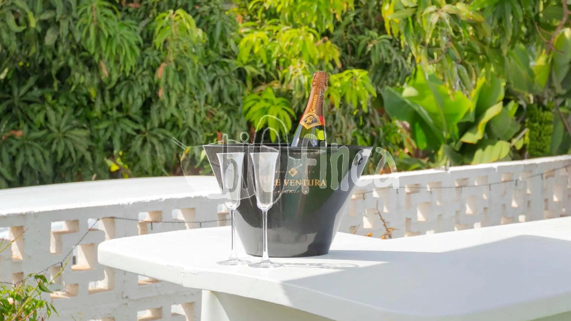 Villa Bio Finca With Pool Playa Paraiso  Spagna