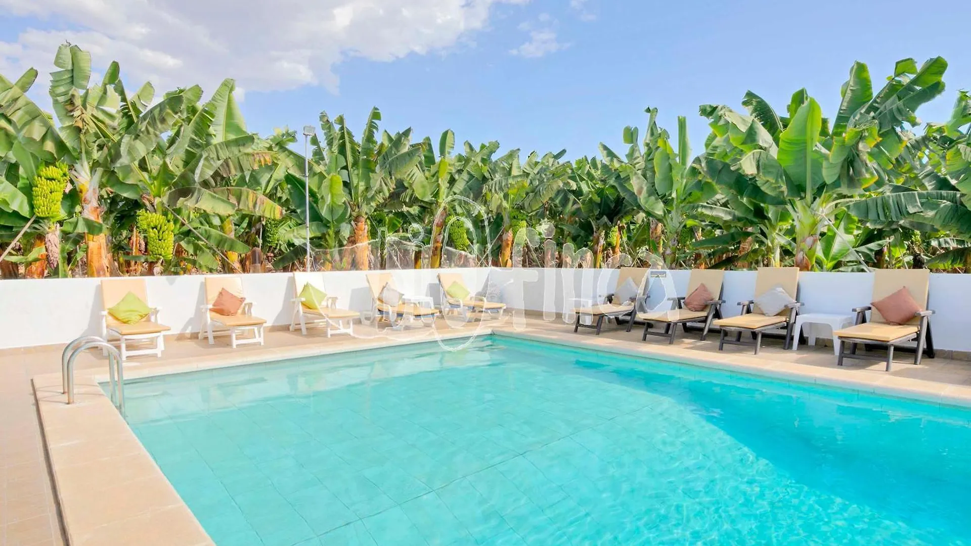 Villa Bio Finca With Pool Playa Paraiso  Spagna