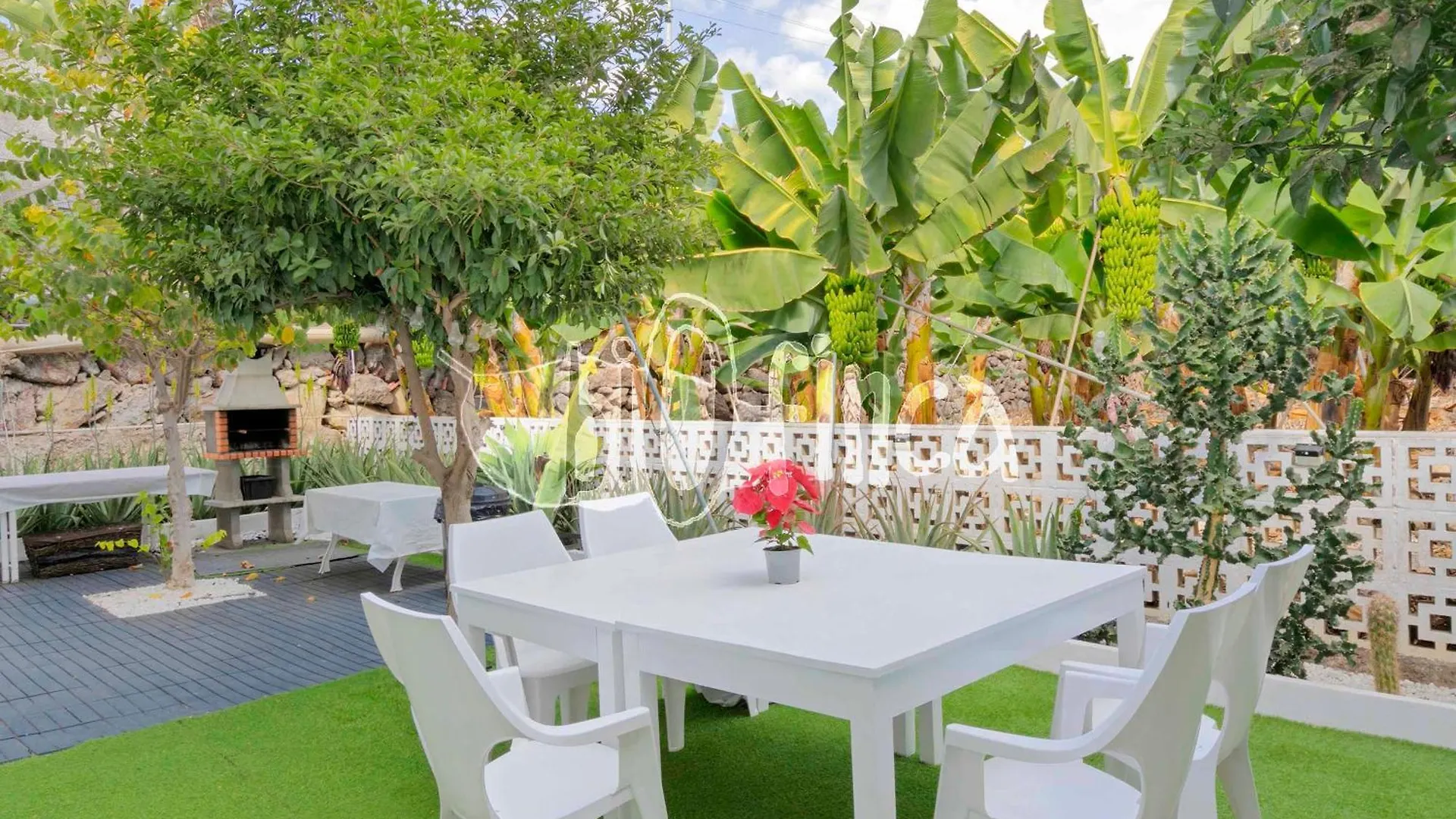Villa Bio Finca With Pool Playa Paraiso
